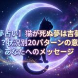 夜空に浮かぶ三日月を背景に、神秘的な猫のシルエットとタイトル文字「【夢占い】猫が死ぬ夢は吉夢？凶夢？状況別20パターンの意味とあなたへのメッセージ」