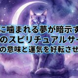 アイキャッチ画像とタイトル　猫に噛まれる夢が暗示する7つのスピリチュアルサイン｜状況別の意味と運気を好転させる秘訣
