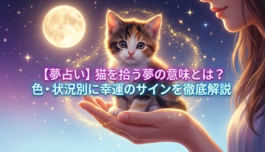 【夢占い】猫を拾う夢の意味とは？色・状況別に幸運のサインを徹底解説｜マダムnonoのスピリチュアル診断