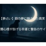 【夢占い】猫の夢に隠された真実 - あなたの深層心理が告げる幸運と警告のサイン