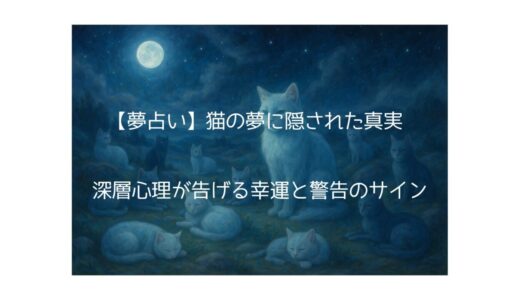 夢占い｜猫がたくさんいる夢の意味とは？あなたの心が教えてくれる8つのサイン