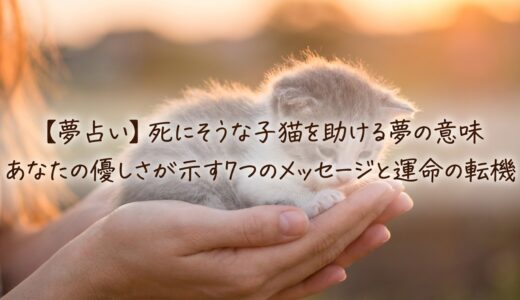 【夢占い】死にそうな子猫を助ける夢の意味｜あなたの優しさが示す7つのメッセージと運命の転機